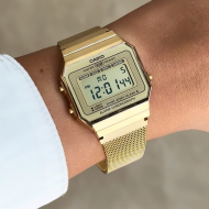 CASIO