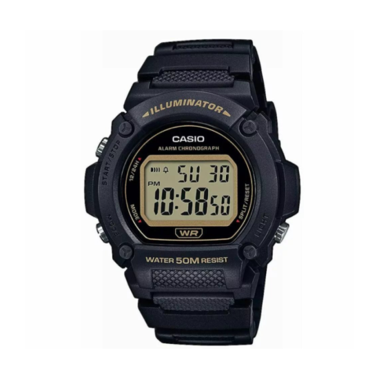 CASIO